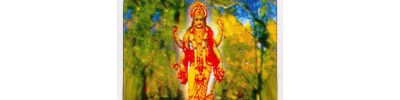 066. திருநைமிசாரண்யம்